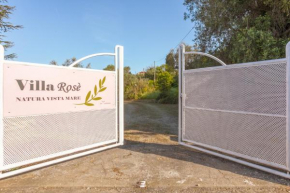 Hotels in Tossicia